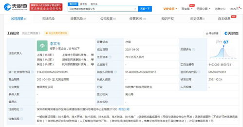 信息系统集成服务的价值与实施策略